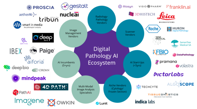 Why Digital Pathology’s Ecosystem Won’t Support AI Startups